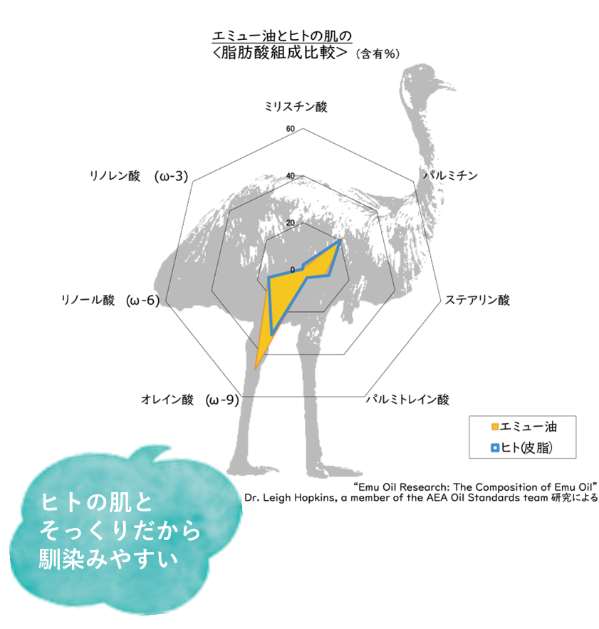 エミューオイルとヒトの肌の比較