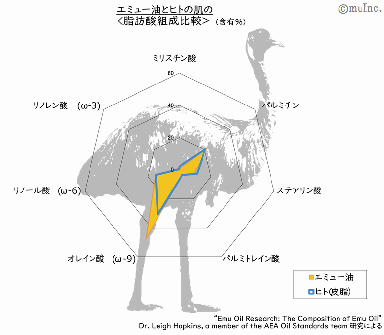 エミュー油とヒトの肌の脂肪酸組成比較。エミュー油の組成は肌の組成とよく似ています。